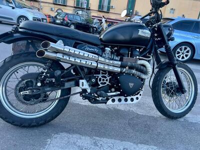 Triumph Scrambler (2006 - 17) usata