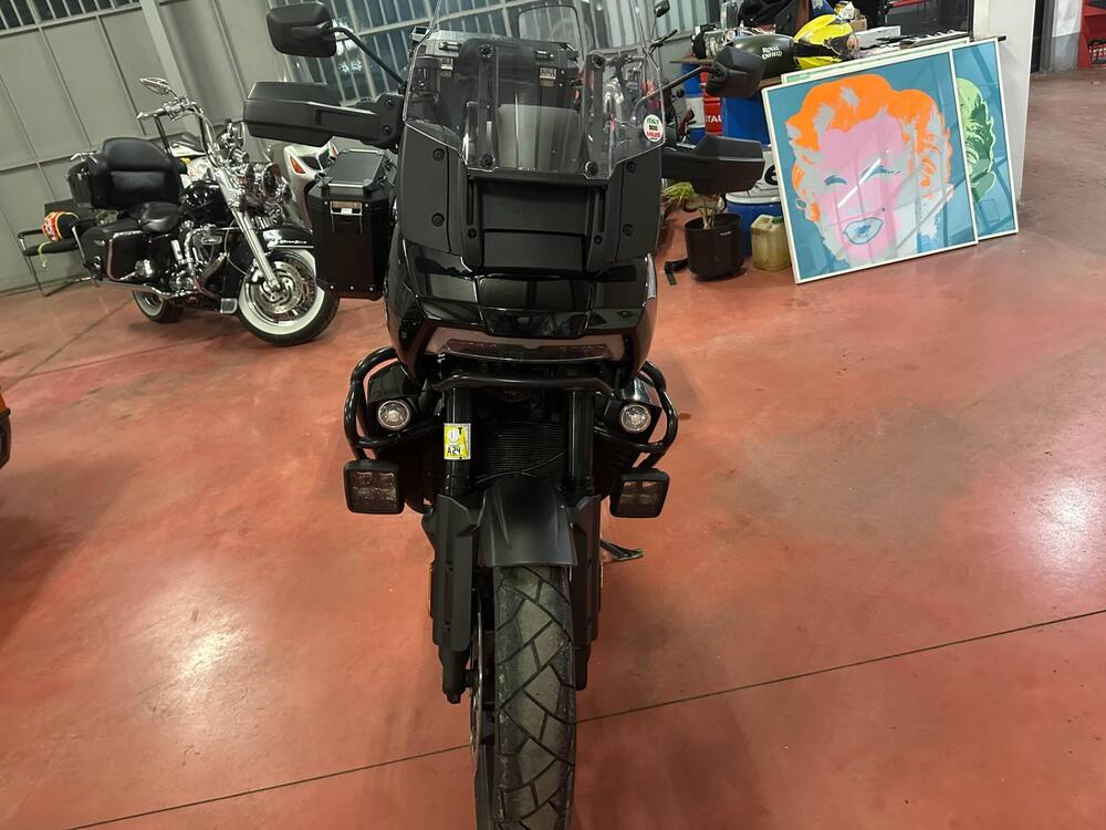 Harley-Davidson Pan America 1250 (2020 - 25) (9)