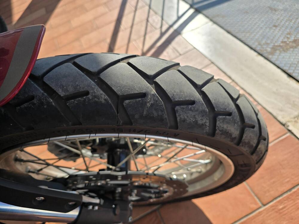 Benelli Leoncino 500 Trail ABS (2017 - 20) (5)