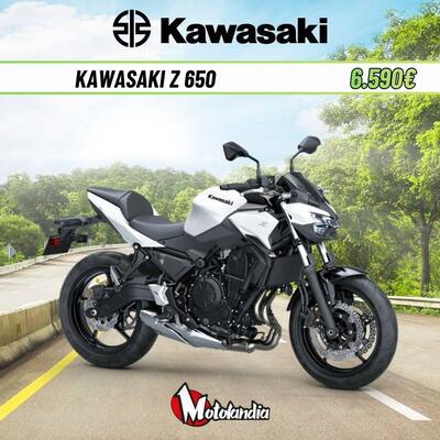 Kawasaki Z 650 (2025 - 26) usata
