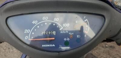 Honda SH 50 New (1996 - 99) usata