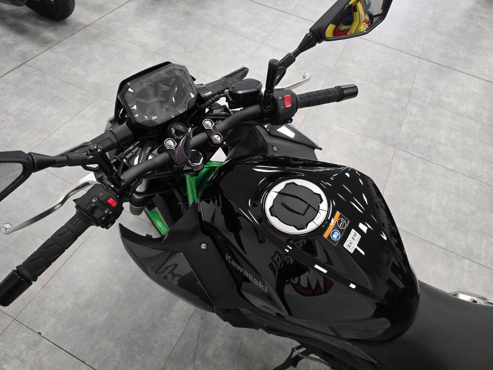 Kawasaki Z 500 SE (2024 - 26) (3)