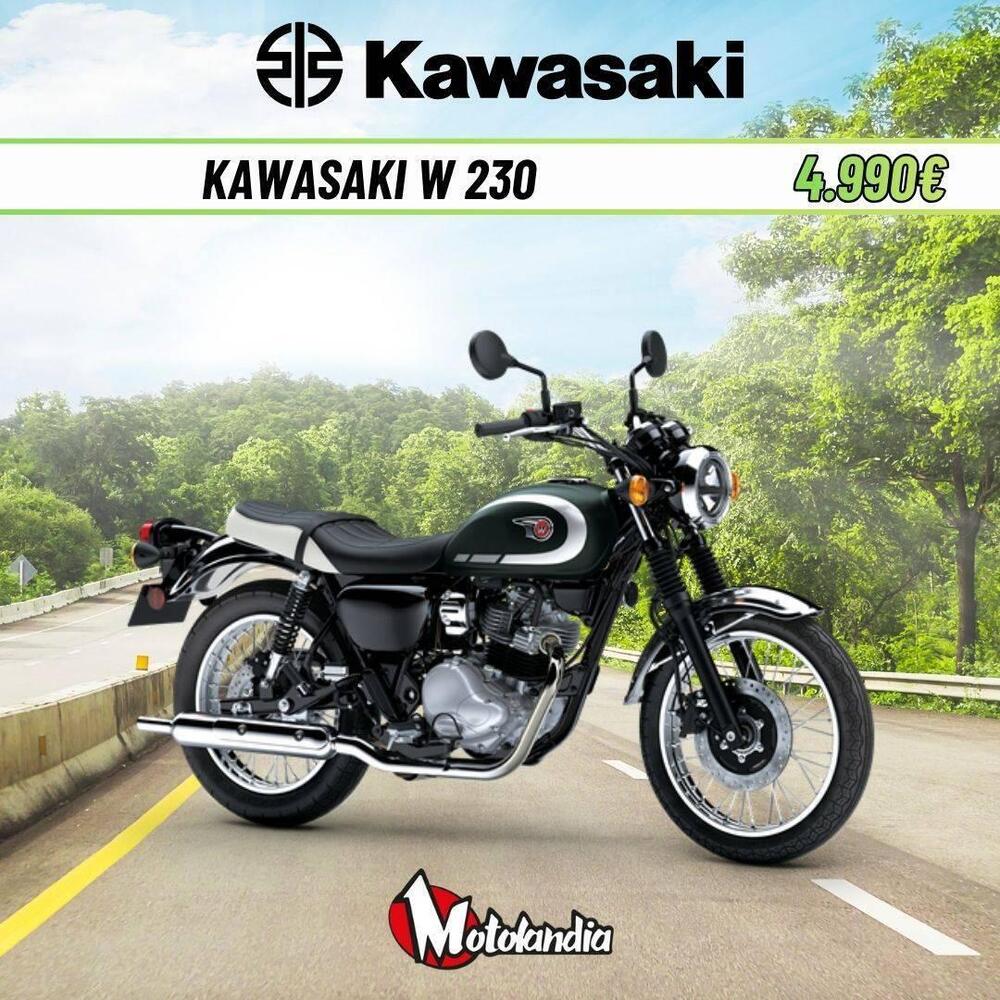 Kawasaki W 230 (2025 - 26)