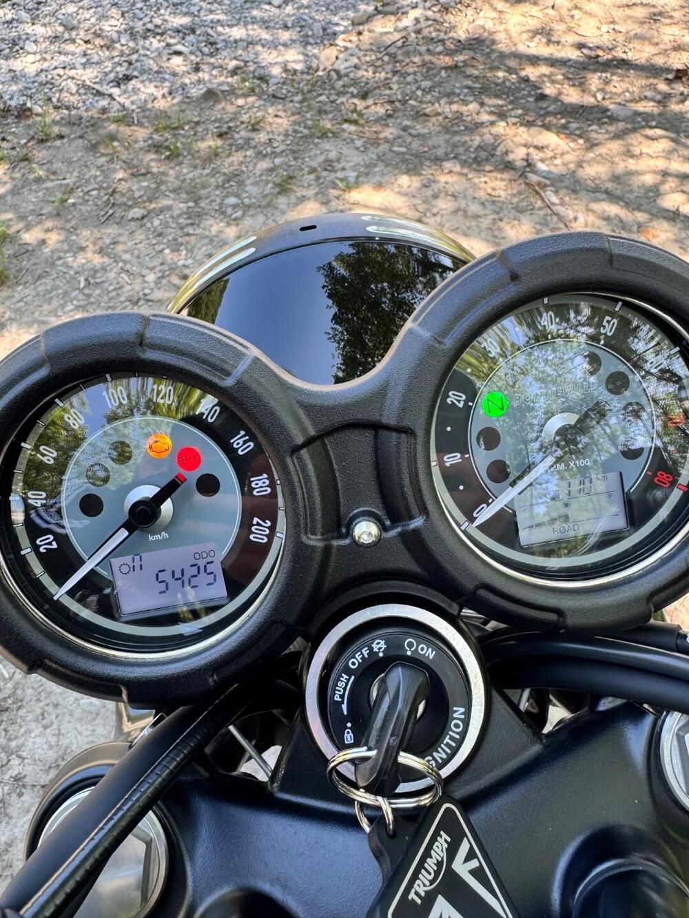 Triumph Bonneville T100 (2021 - 25) (12)