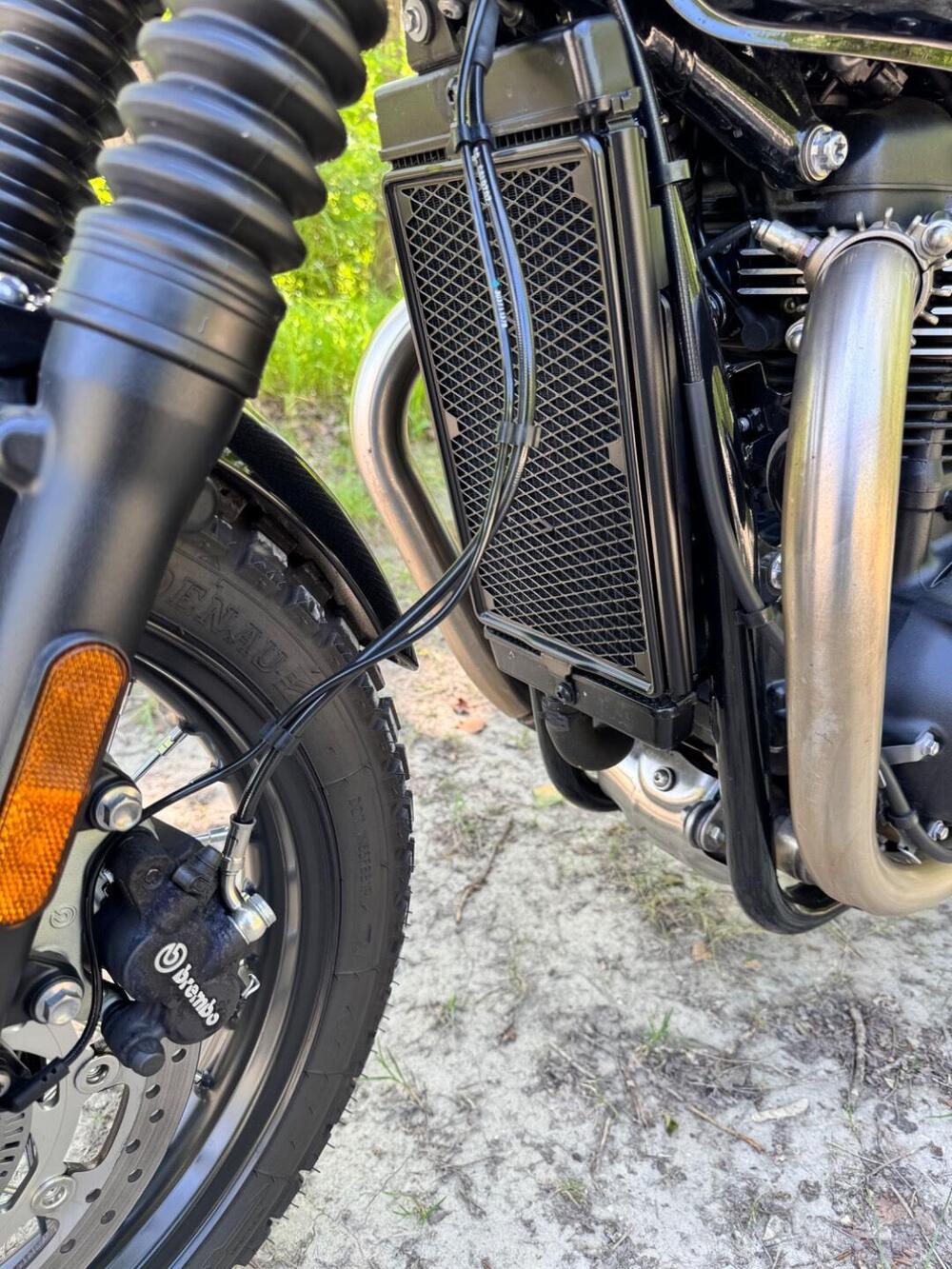 Triumph Bonneville T100 (2021 - 25) (13)