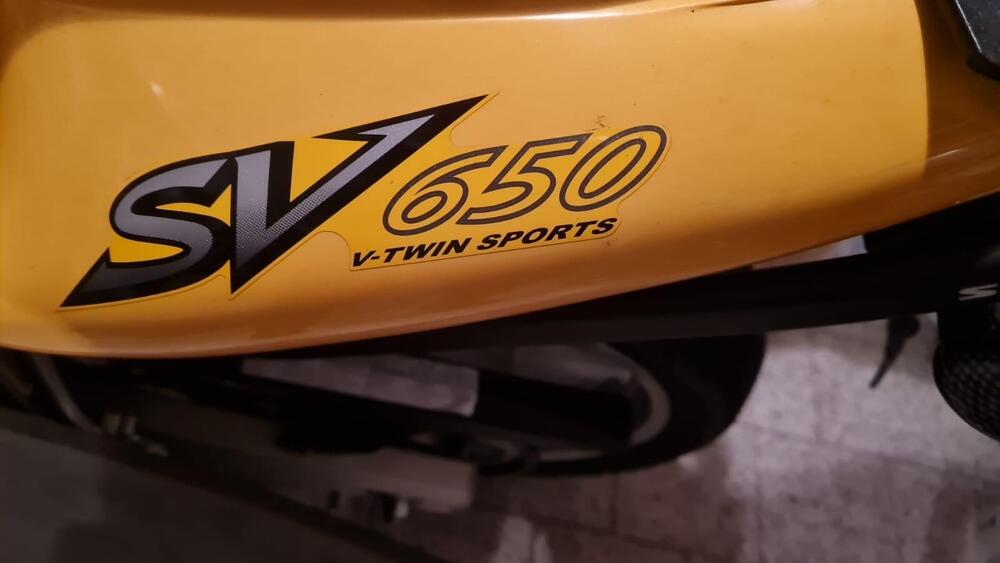 Suzuki SV 650 (2003 - 06) (6)