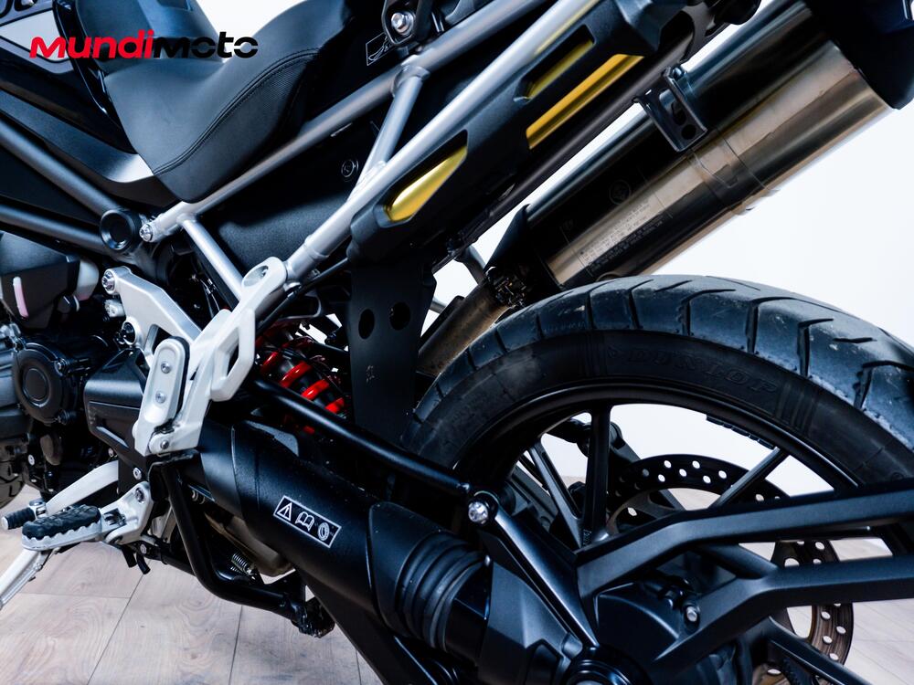 Triumph Tiger 1200 GT Pro (2024 - 26) (10)