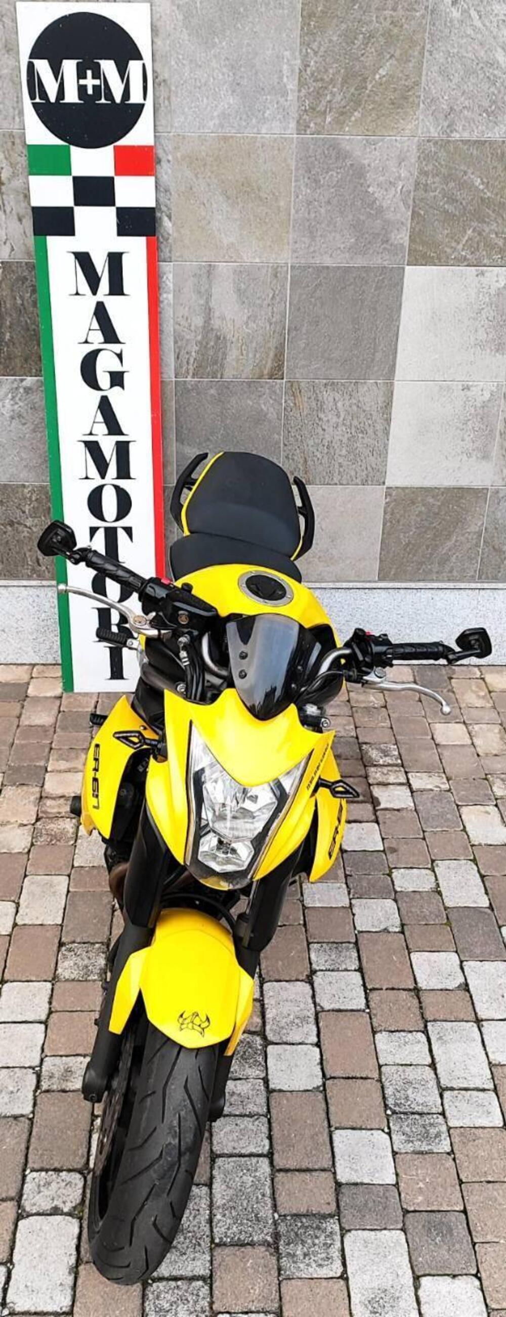 Kawasaki ER-6N (2012 - 13) (7)