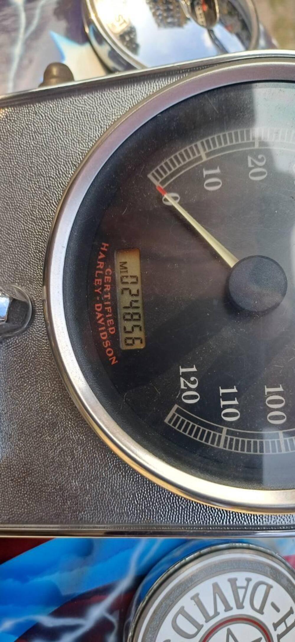 Harley-Davidson 1450 Standard (2002 - 05) - FXSTI (9)