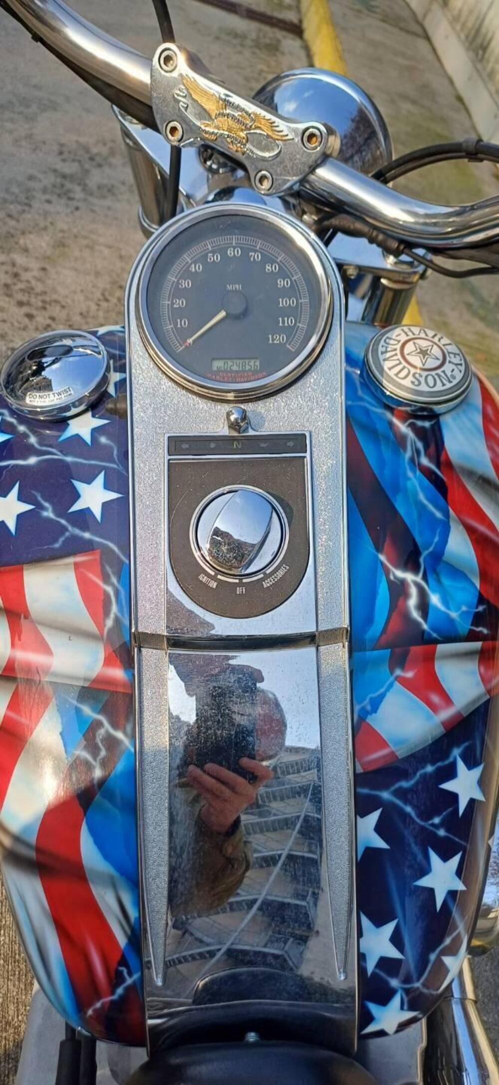 Harley-Davidson 1450 Standard (2002 - 05) - FXSTI (6)