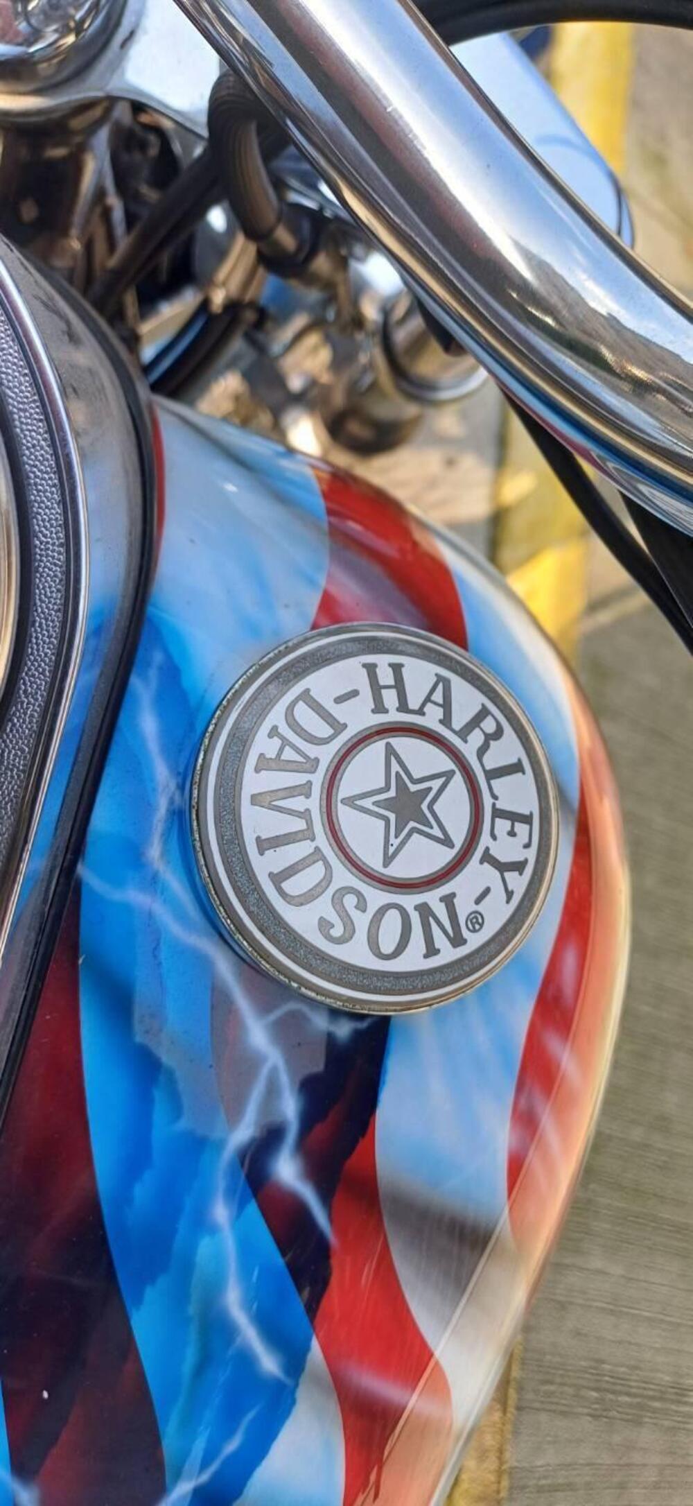 Harley-Davidson 1450 Standard (2002 - 05) - FXSTI (7)