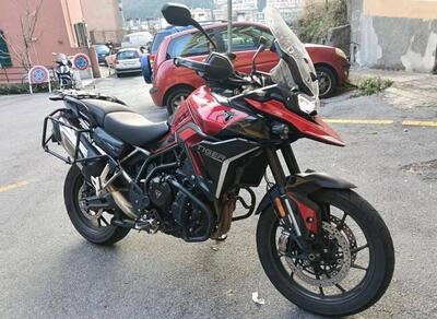 Triumph Tiger 900 GT Pro (2024 - 26) usata