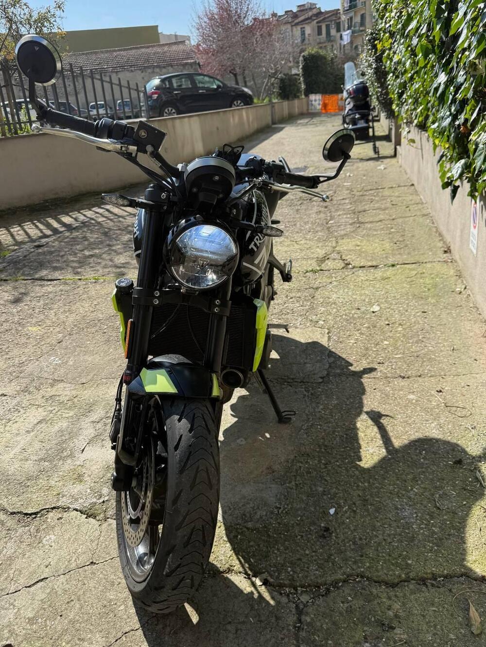 Triumph Trident 660 Triple Tribute Edition (2024) (3)