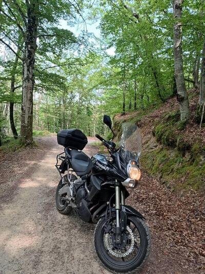 Kawasaki Versys 650 (2010 - 13) usata