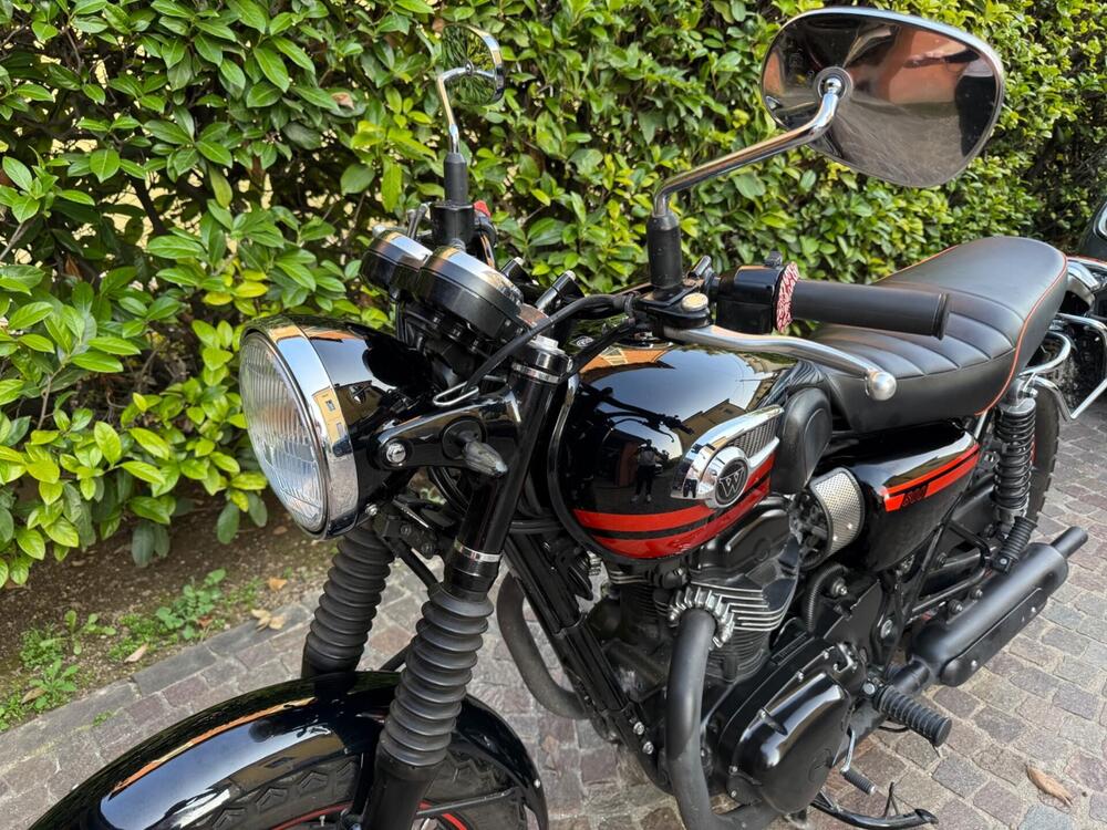 Kawasaki W 800 (2010 - 17) (6)