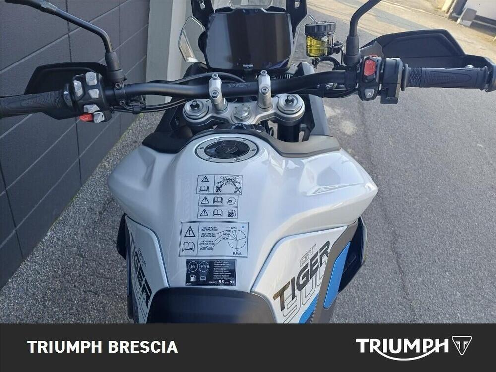 Triumph Tiger 900 Alpine Special Edition (2026) (7)