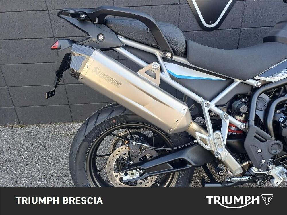 Triumph Tiger 900 Alpine Special Edition (2026) (4)