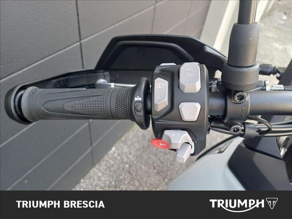 Triumph Tiger 900 Alpine Special Edition (2026) (8)