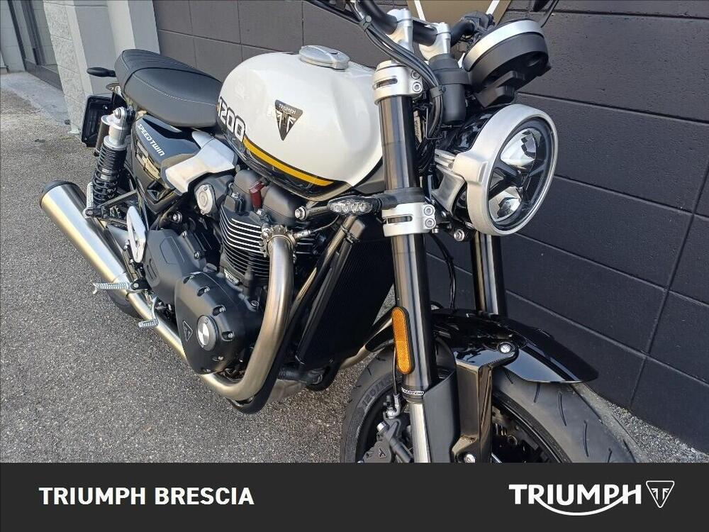 Triumph Speed Twin 1200 (2025 - 26) (7)