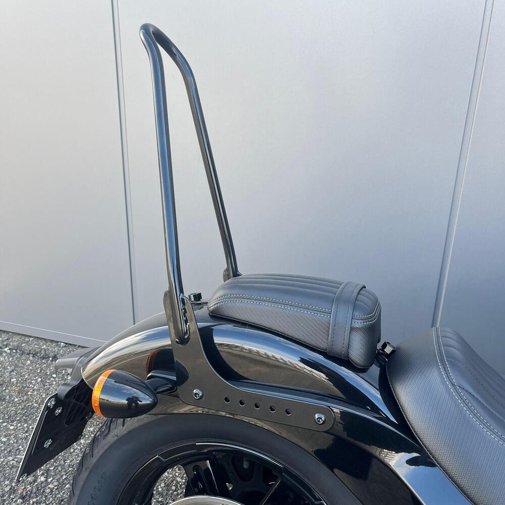 Harley-Davidson Street Bob 114 (2021 - 24) (13)