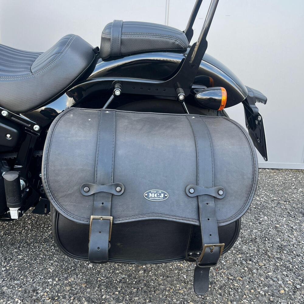 Harley-Davidson Street Bob 114 (2021 - 24) (19)