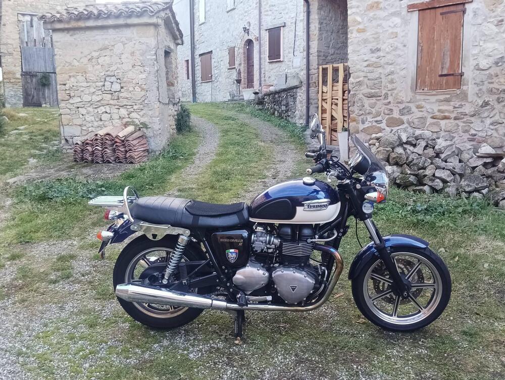 Triumph Bonneville SE (2009 - 13) (3)