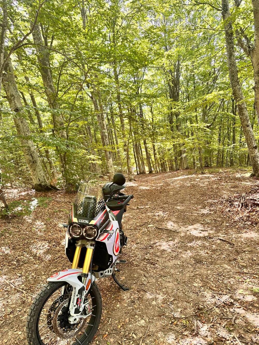 Ducati DesertX (2022 - 25) (3)