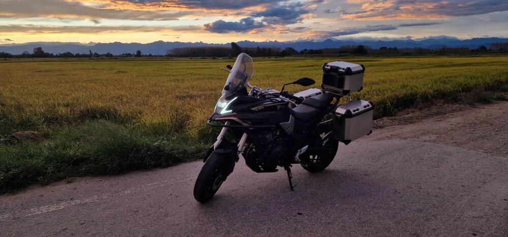 Voge Valico 500DS (2021 - 24) (2)