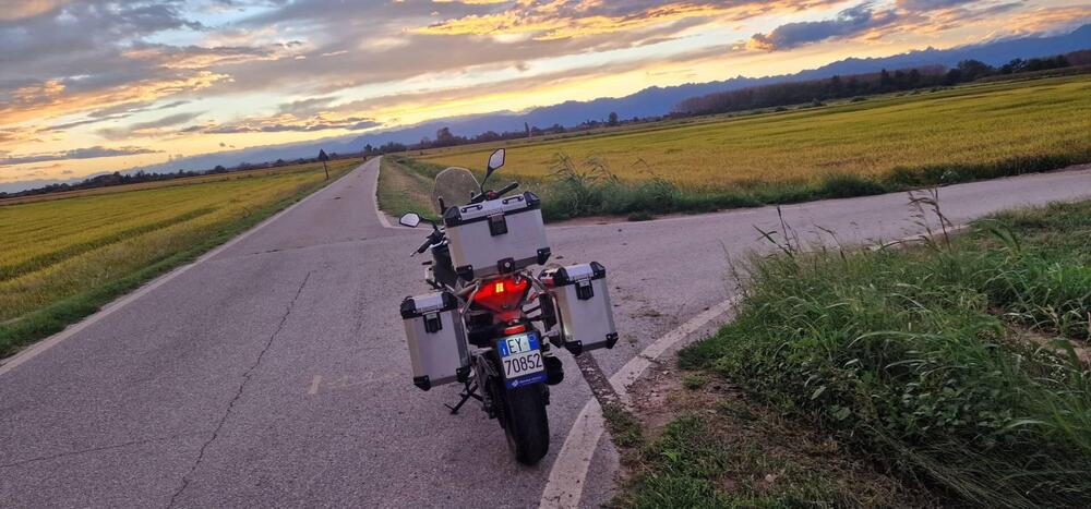 Voge Valico 500DS (2021 - 24) (4)