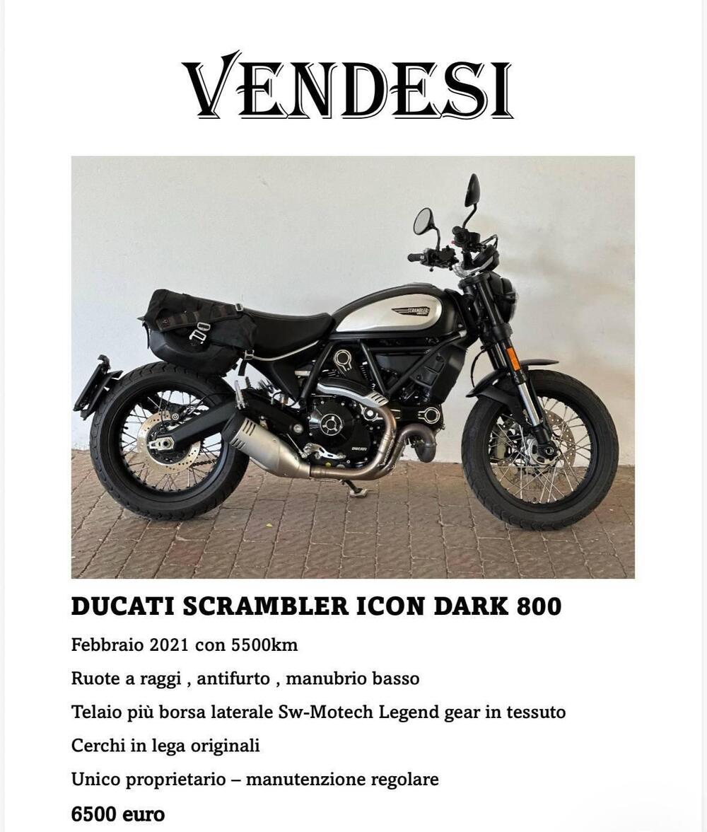 Ducati Scrambler 800 Icon Dark (2021 - 22) (5)