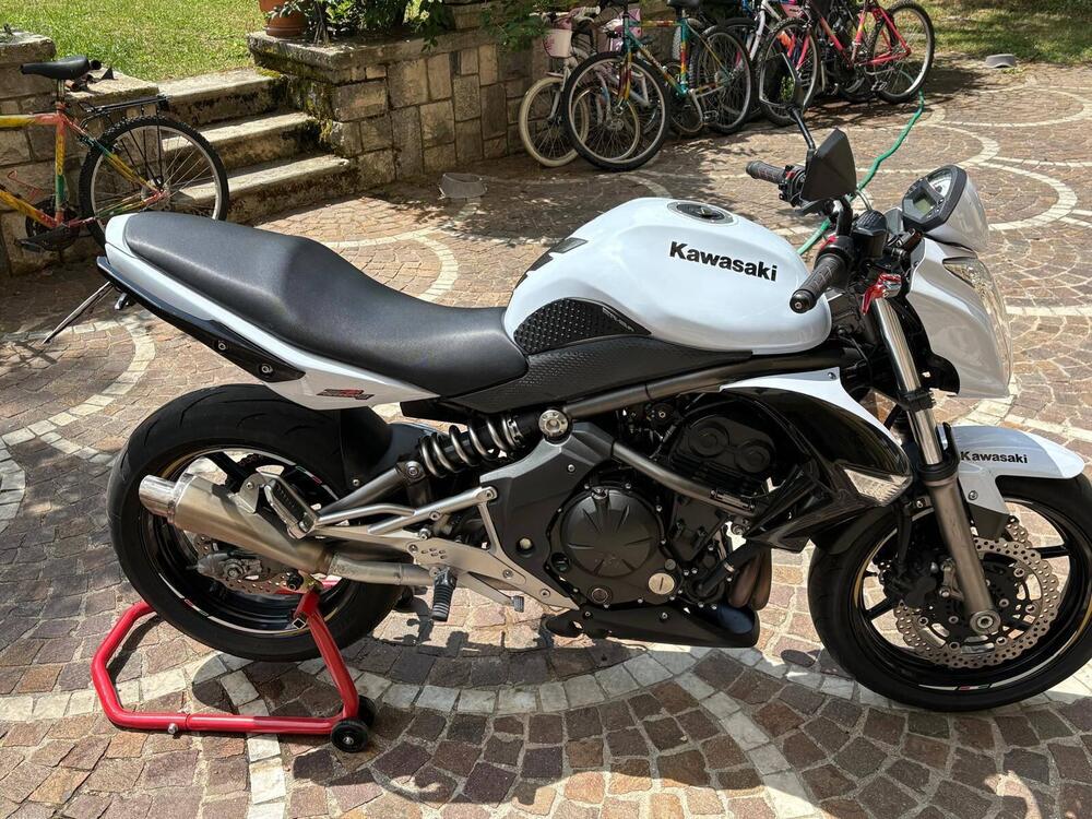 Kawasaki ER-6N (2006 - 09) (3)