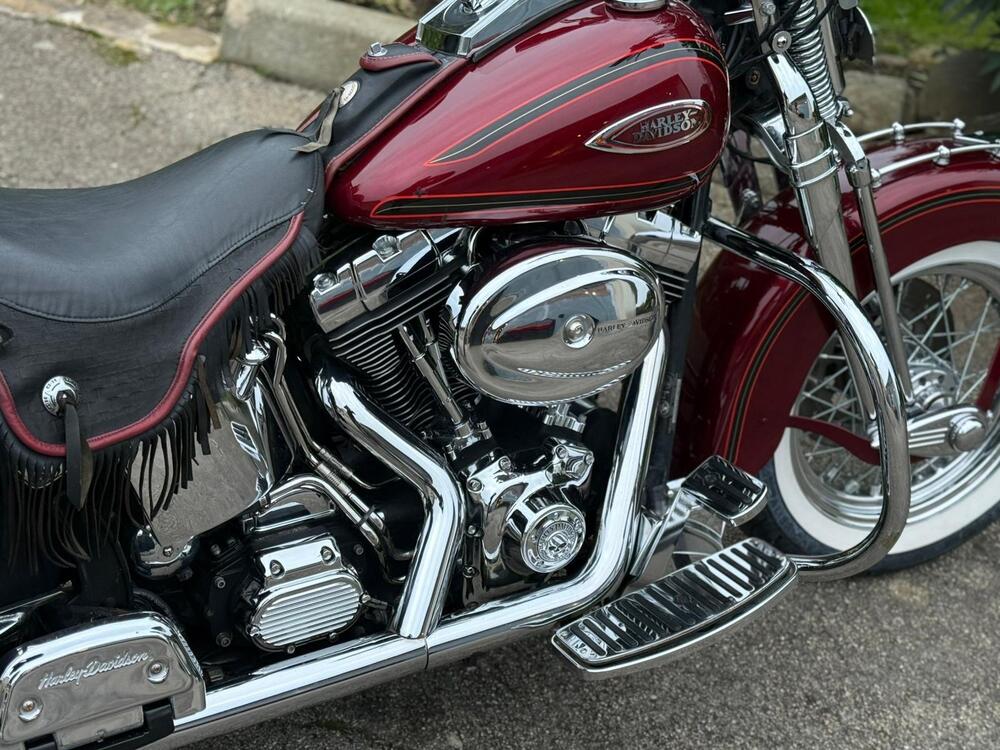 Harley-Davidson 1450 Heritage Springer (2000 - 03) - FLSTS (18)
