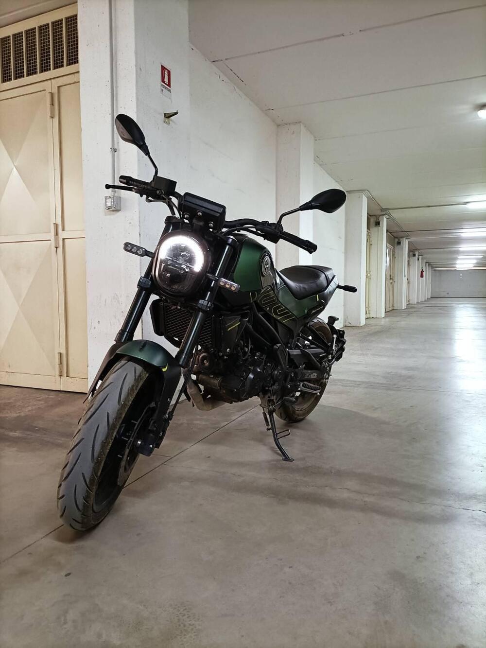 Benelli Leoncino 125 (2022 - 25)