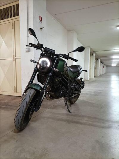 Benelli Leoncino 125 (2022 - 25) usata
