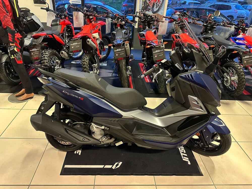 Sym Cruisym 300 (2021 - 24) (2)