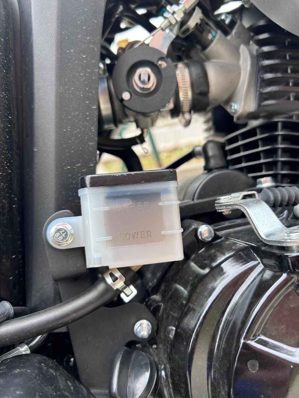 Um Italia Renegade Sport 125 (2023 - 26) (4)