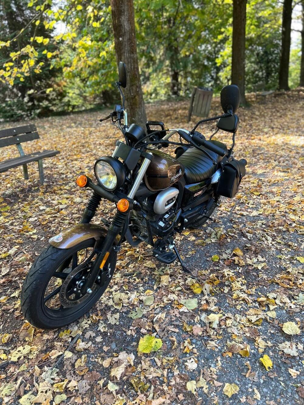 Um Italia Renegade Sport 125 (2023 - 26) (5)