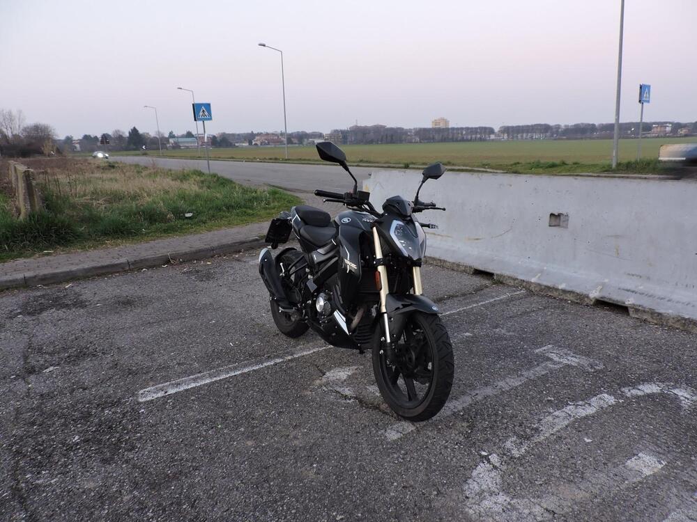 Keeway Motor RKF 125 (2021 - 24) (2)