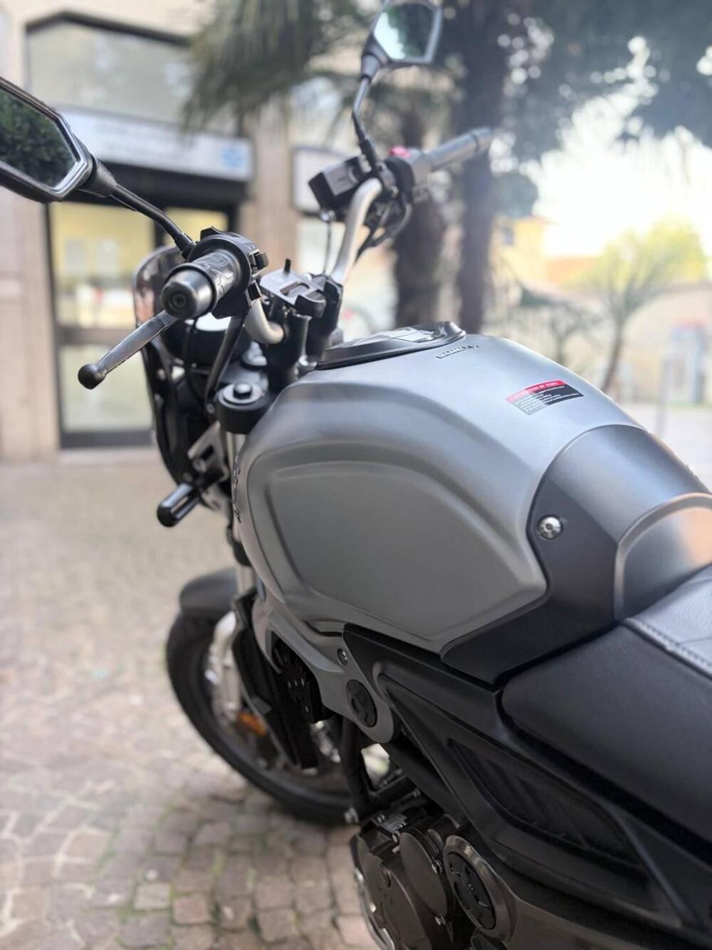 Voge Trofeo 300ACX Scrambler (2021 - 26) (3)