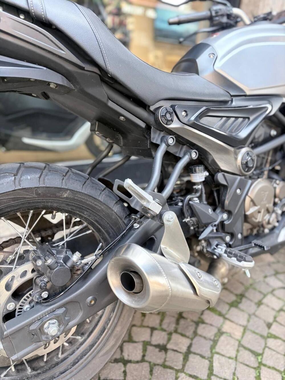 Voge Trofeo 300ACX Scrambler (2021 - 26) (7)