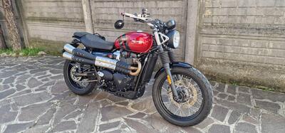 Triumph Scrambler 900 (2023 - 25) usata