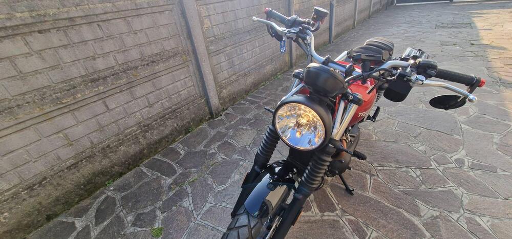 Triumph Scrambler 900 (2023 - 25) (3)