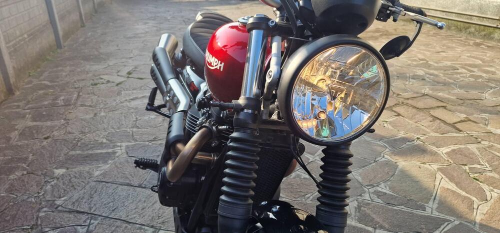 Triumph Scrambler 900 (2023 - 25) (10)