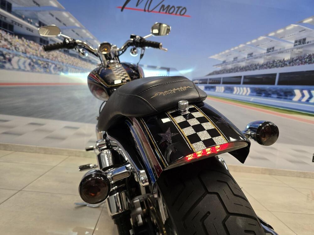 Harley-Davidson 1200 Custom (2004 - 06) - XL 1200C (8)