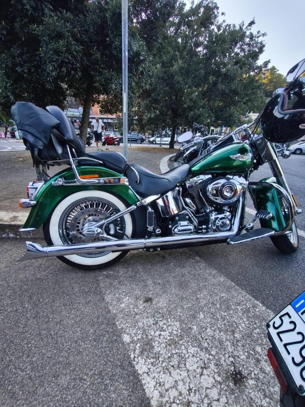 Harley-Davidson 1690 Deluxe ABS (2011 - 16) - FLSTN (7)