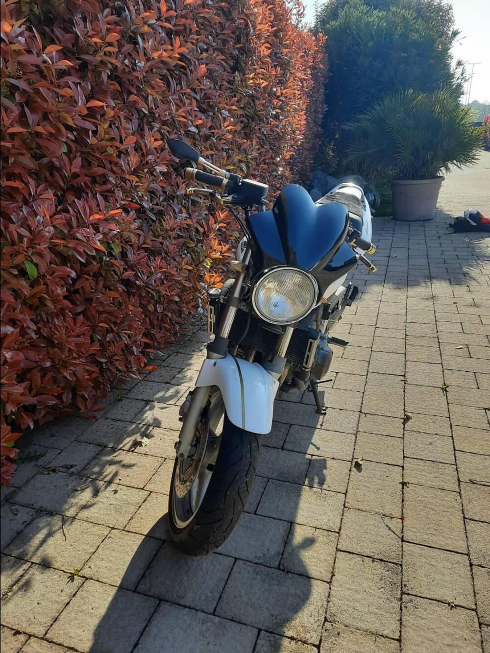 Honda Hornet 600 (2000 - 02) (3)