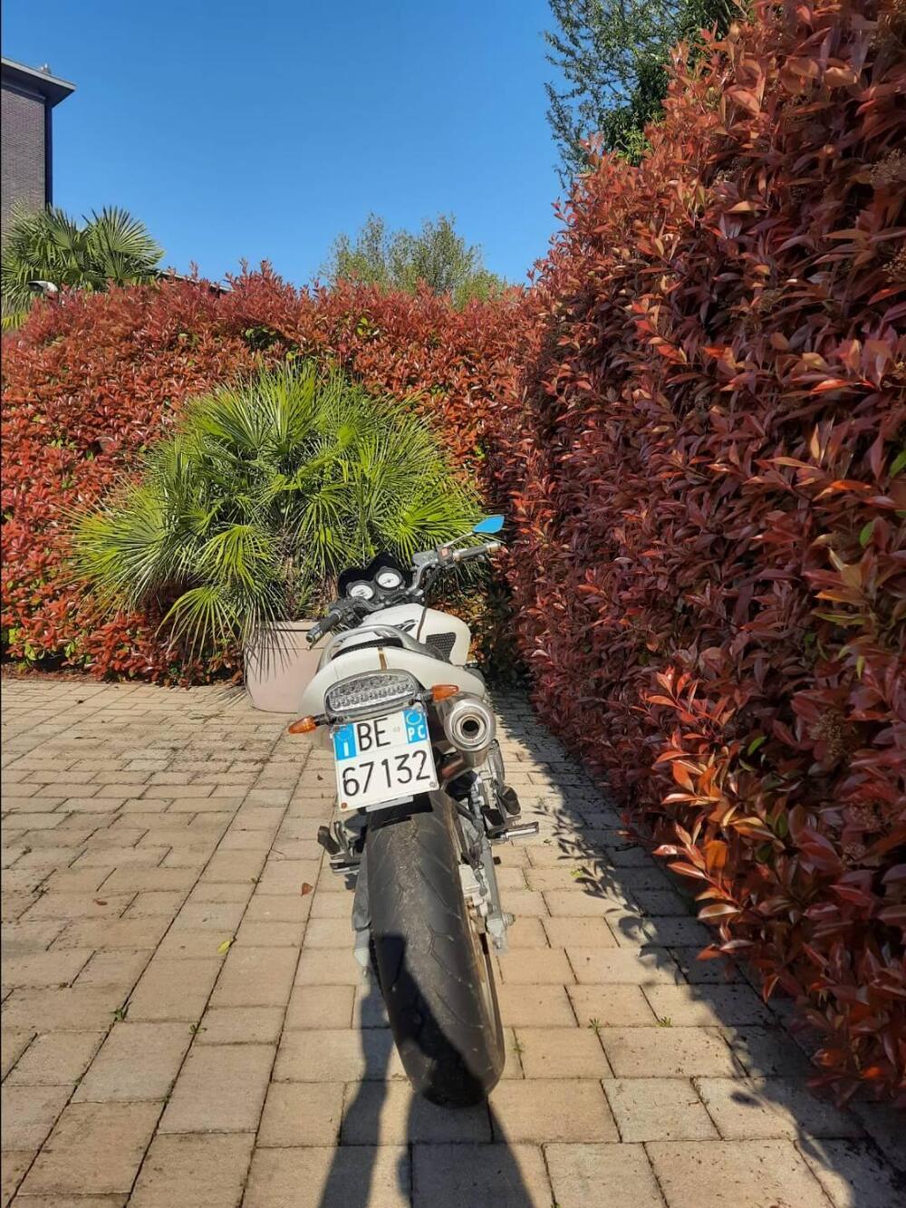 Honda Hornet 600 (2000 - 02) (4)