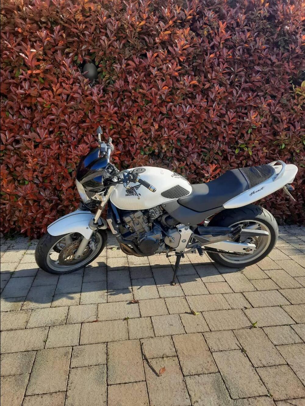 Honda Hornet 600 (2000 - 02) (5)