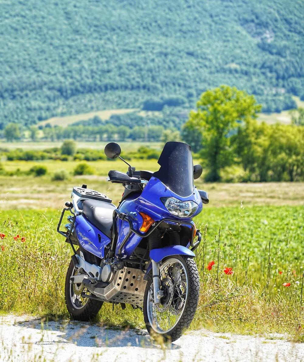 Honda Transalp XL 650V (2000 - 04) (4)