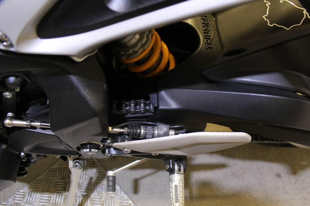 Triumph Street Triple 765 Moto2 Edition (2023 - 24) (19)